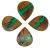 Acacia sharp green.PNG