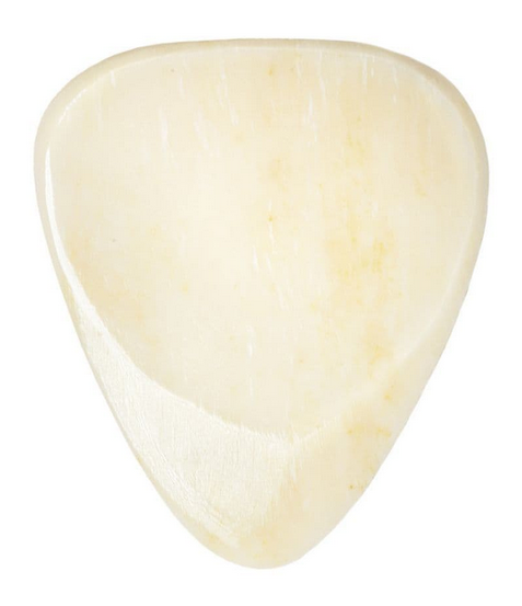 Buffalo Bone.PNG